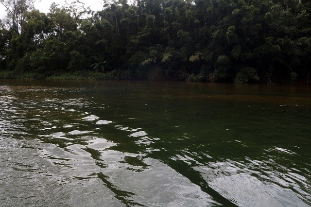 De volta às origens: um passeio pelo Rio Araranguá - Cotidiano - 4oito