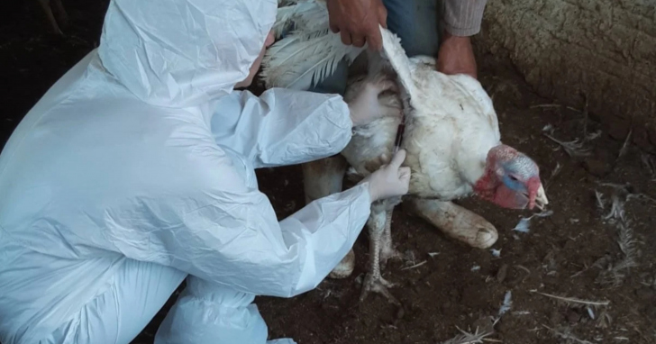 Medida terá validade de 60 dias e abrange Nova Itaberaba, Águas Frias, Coronel Freitas e Nova Erechim | Foto: Divulgação/Cidasc