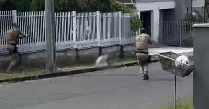 Segundo a Polícia Militar, o agressor tem um extenso histórico de crimes, incluindo violência doméstica | Foto: Reprodução/PMSC