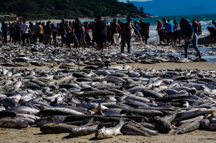 Foto: Ricardo Wolffenbüttel/Secom