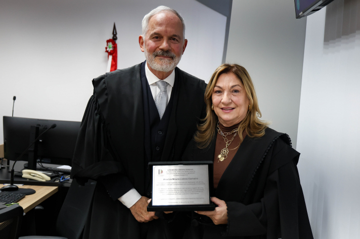 Ana Lia participou da última sessão presencial antes da aposentadoria no TJSC | Foto: Divulgação/TJSC