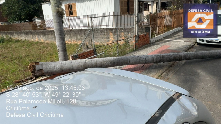 Foto: Divulgação/Defesa Civil