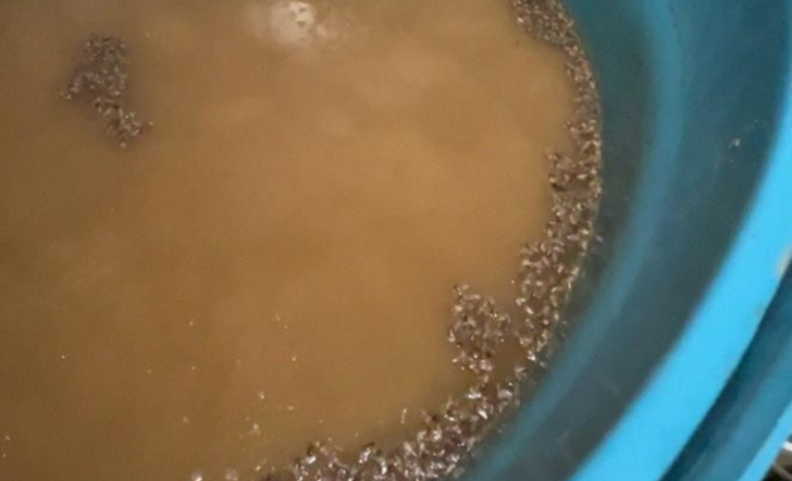 Fotos: Divulgação/Gov