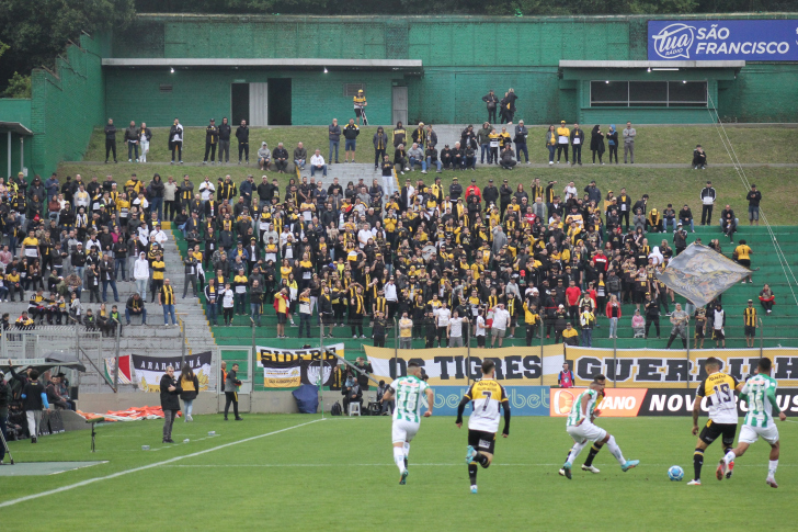 Foto: Celso da Luz/Criciúma E.C