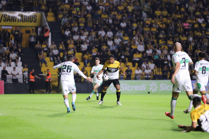 Fotos: Celso da Luz/ Assessoria de imprensa