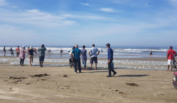 Pesca da tainha, que acontece entre maio e julho, é a mais aguardada (Foto: Arquivo)