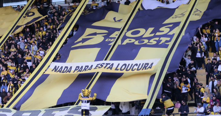 Partida contra o Vila Nova acontece no sábado (18) e vale a liderança da Série B | Foto: Celso da Luz/Criciúma