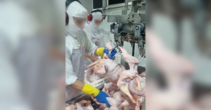 Operação de fiscalização ocorreu entre os dias 2 e 6 de março | Foto: Divulgação/MPT