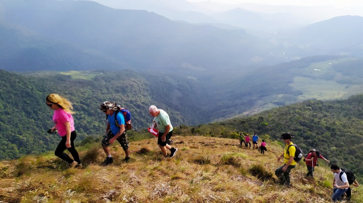 Fotos: Divulgação