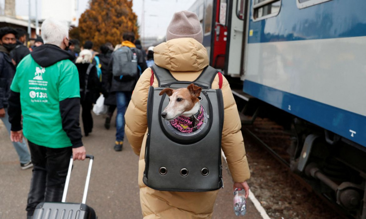 Foto: Bernadett Szabo / Reuters