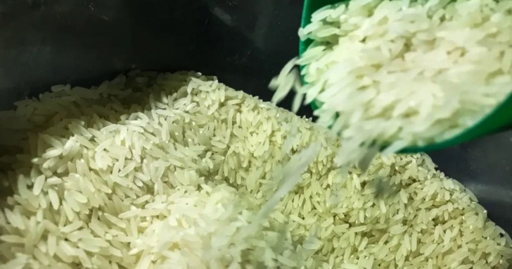 Saca do produto é vendida no estado por preços abaixo do necessário para o custo de produção - Foto: Marcello Casal Jr./Agência Brasil/Arquivo/4oito