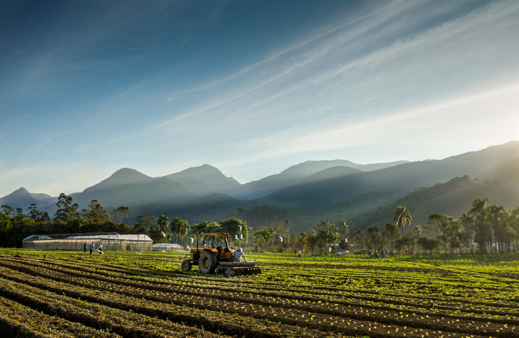 Foto: Ricardo Wolffenbüttel/ Secom