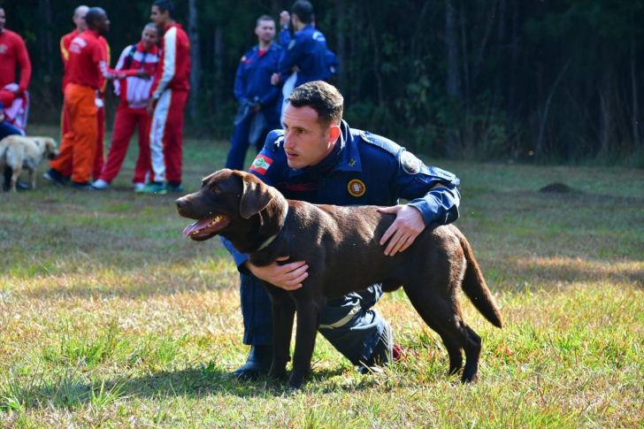 Fotos: Divulgação