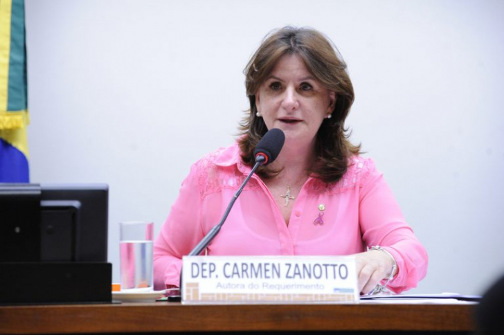 Deputada Carmen Zanotto / Divulgação