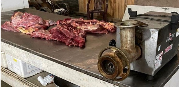 Em Morro da Fumaça, quadrilha comercializava carne de cavalo. Foto:Divulgação