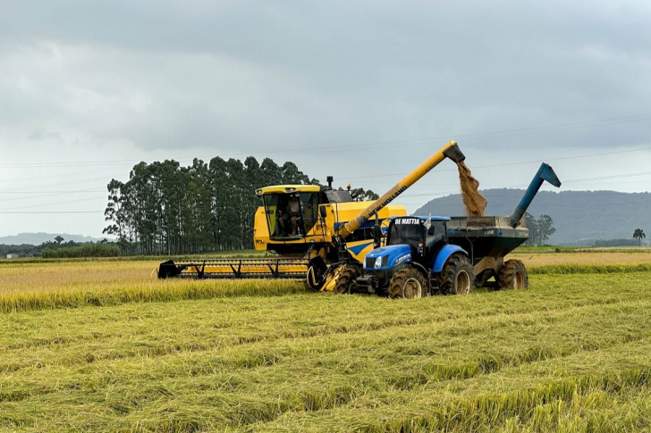 Tarifas impostas pelos Estados Unidos sobre produtos brasileiros devem impactar diretamente as exportações de arroz/ Foto: ASCOM Forquilinha/ Divulgação:4oito
