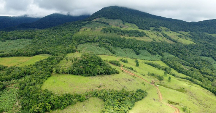 Liberação para a construção da nova estrada da Serra do Fundo Grande promete movimentar o Sul de SC I Foto: Divulgação/4oito 