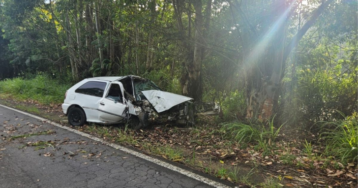 Jovem teve que ser imobilizado e levado ao hospital | Foto: CBM SC
