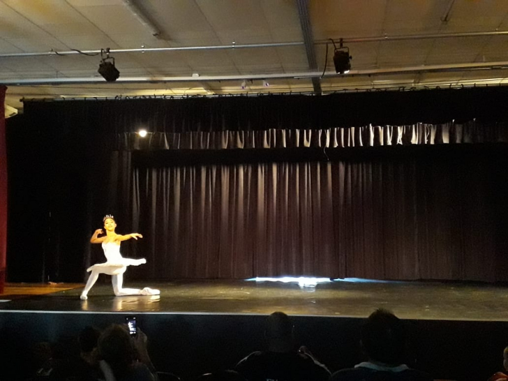 Divulgação
