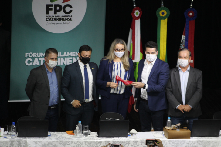 Vice-governadora Daniela Reinehr participou / Divulgação