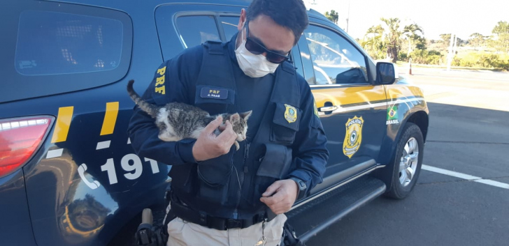 Policial vai adotar o gato / Divulgação