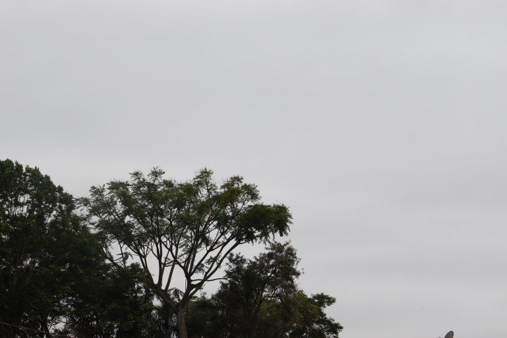 Temporais isolados podem ser registrados no domingo (30) e na segunda (01). Foto: Davi Brabos/4oito