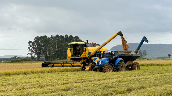 Produção de arroz pode ser afetada pelo excesso de chuva durante a semeadura | Foto: ASCOM Forquilinha/ Divulgação/4oito