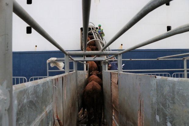 Foto: Amanda Cristhie / SC Par Porto de Imbituba