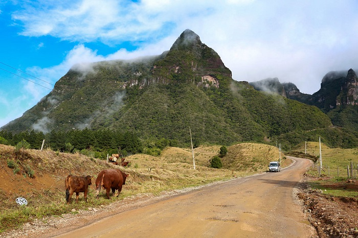 Foto: Divulgação