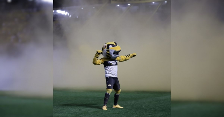 Foto: Celso da Luz/Criciúma