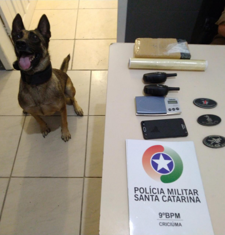 Foto: Polícia Militar