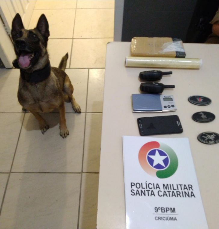 Foto: Polícia Militar