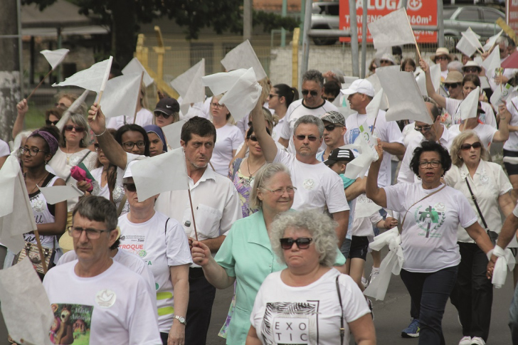 Guilherme Hahn / A Tribuna