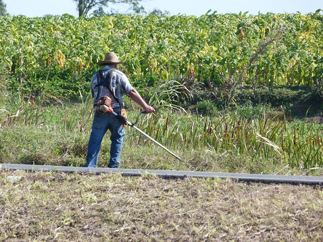 Trabalhador sob forte calor nesta tarde limpando a Via Rápida / Fotos: Denis Luciano / 4oito