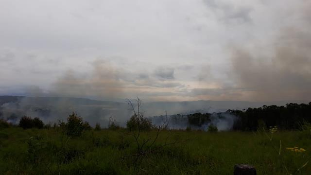 Incêndio atingiu vegetação próxima a Avenida Luiz Lazzarin, na Mina do Mato - Foto: Guilherme Hahn / A Tribuna