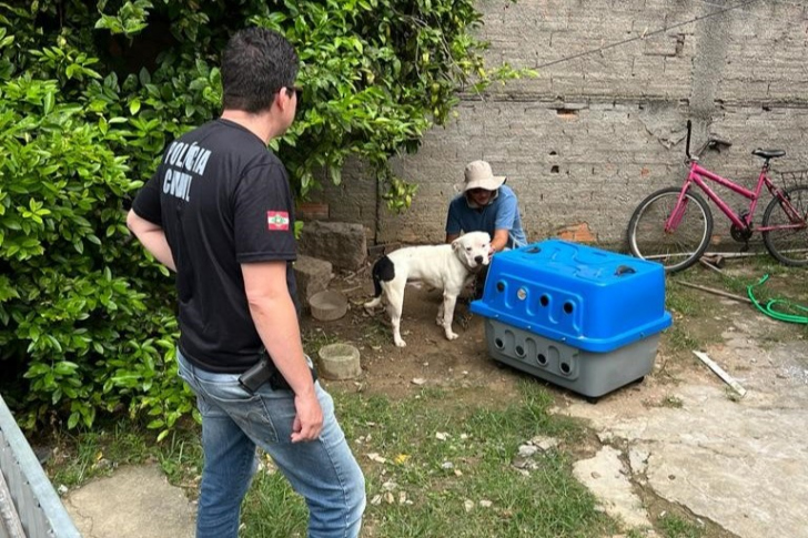 Foto: Polícia Civil