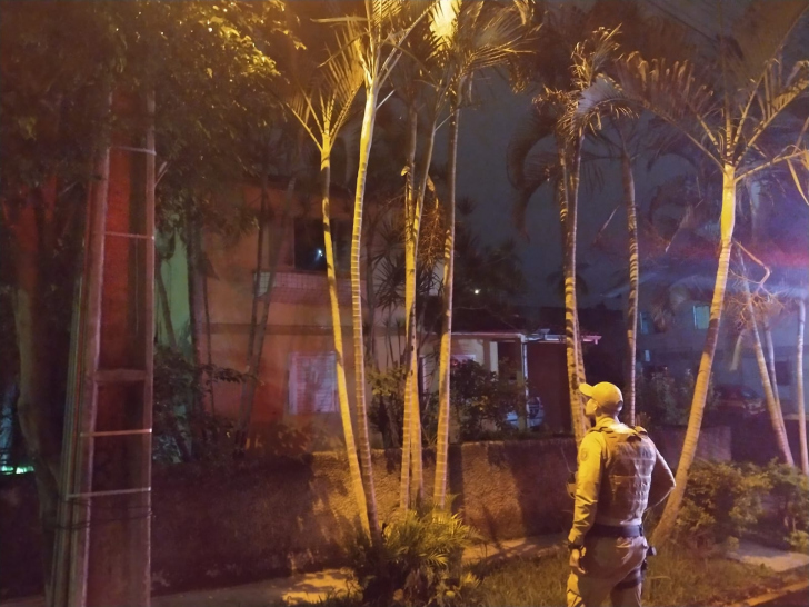 Fotos: Divulgação