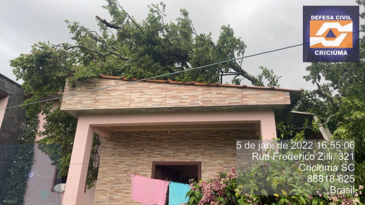 Árvore caiu sobre residência na Vila Zuleima. Fotos: Divulgação