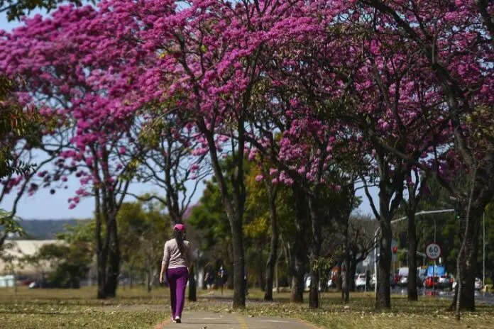 Foto: Marcelo Camargo/Agência Brasil