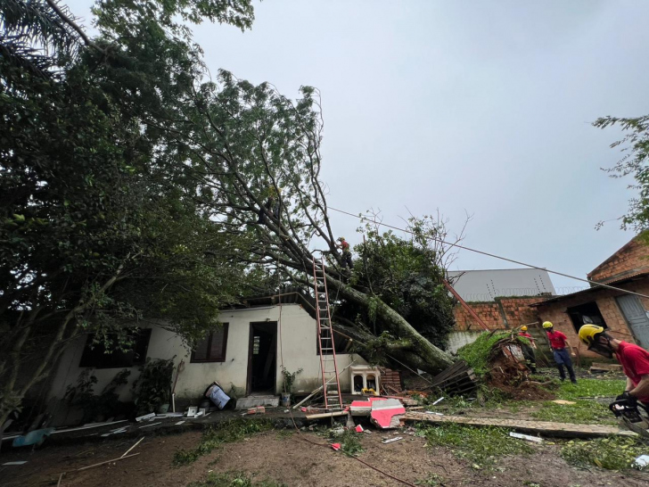 Casa destruída por queda de árvore no bairro Bosque do Repouso, em Criciúma | Foto: Divulgação/CBMSC