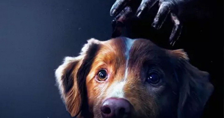 Filmes de terror recentes e clássicos misturam medo psicológico, sobrenatural e releituras macabras de histórias conhecidas | Foto: Divulgação