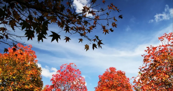 Ainda neste mês deve ter predomínio de calor, com temperaturas elevadas | Foto: reprodução/redes sociais