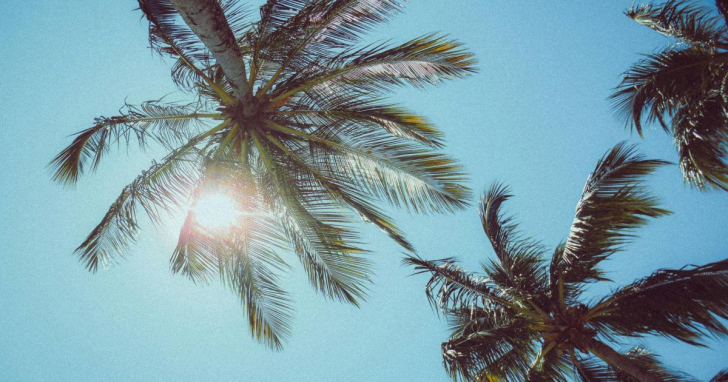 Calor ganha força em Criciúma ao longo da semana I Foto: Canva/4oito