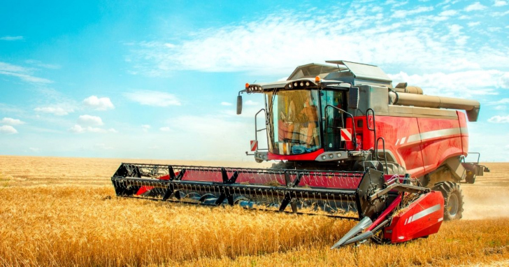 Produção de grãos cresceu 20,7% e fortaleceu a cadeia produtiva estadual I Foto: Canva/4oito