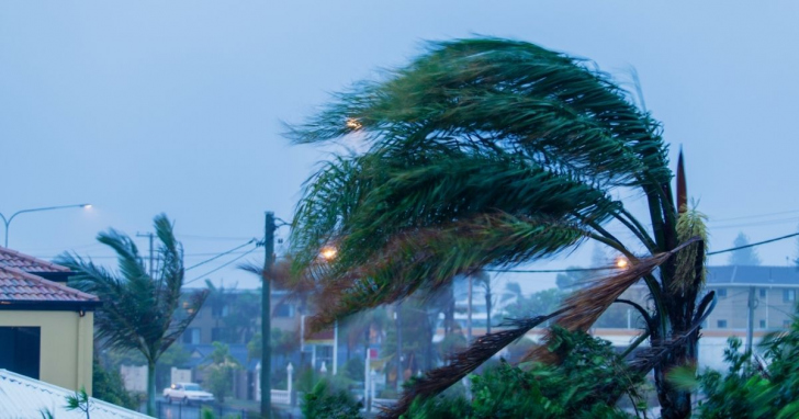 Ventania ganha força e muda o tempo em todo o estado I Foto: Canva/4oito