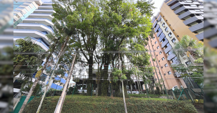 Leilão de mansão avaliada em R$ 25 milhões movimenta mercado imobiliário de Criciúma I Foto: Thiago Hockmüller/4oito