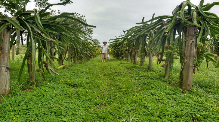 Foto: Divulgação / Prefeitura de Maracajá