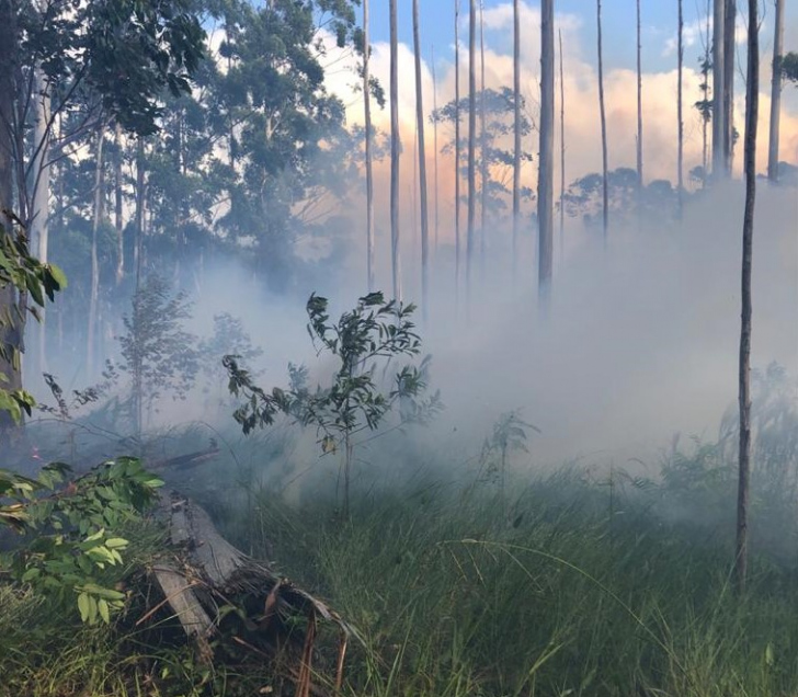 Foto: Corpo de Bombeiros Militar/Divulgação/ND