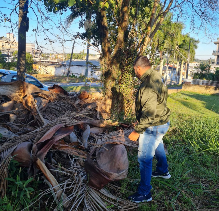 Foto: Divulgação/ Prefeitura de Içara