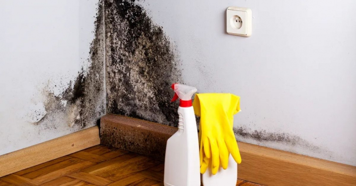 Ambientes fechados e úmidos favorecem o aparecimento de mofo dentro de casa | Foto: Divulgação/4oito